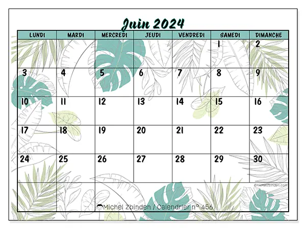 Calendrier n° 456 pour juin 2024 à imprimer gratuit. Semaine : Lundi à dimanche.