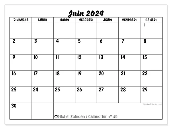 Calendrier n° 45 pour juin 2024 à imprimer gratuit. Semaine : Dimanche à samedi.
