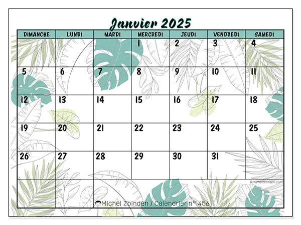 Calendrier n° 456 pour janvier 2025 à imprimer gratuit. Semaine : Dimanche à samedi.