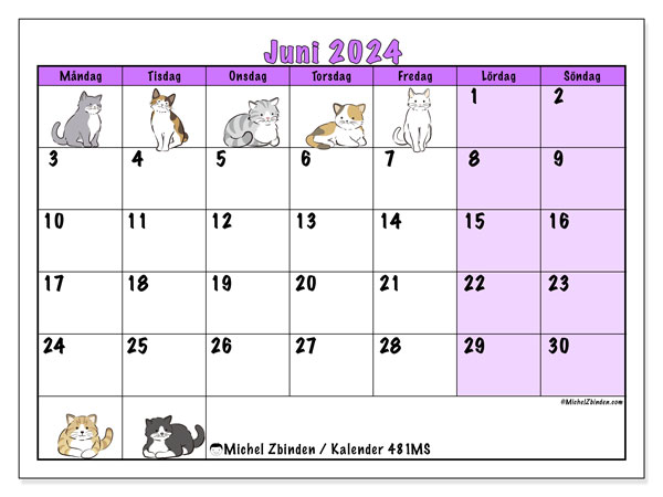 Kalender juni 2024, 481MS, klar att skriva ut och gratis.